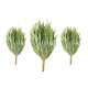 Eucalyptus Sauna Whisk 3pc. gallery