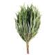 Eucalyptus Sauna Whisk productbox