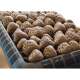 Saunastones Ceramic, Kerkes Mix, 20kg 5