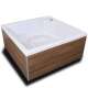 Acrylic Cold Plunge Tub COOL POOL PRO TEAM 2 &ndash;...
